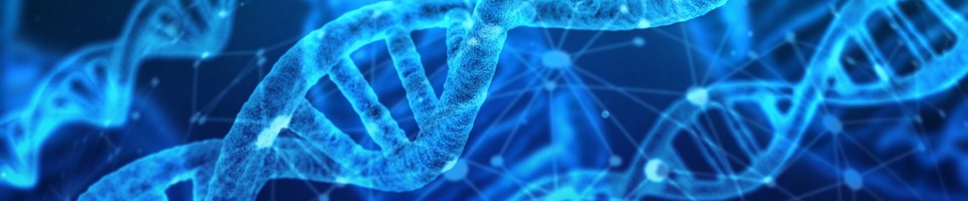 https://de.serlo.org/biologie/70762/dna-was-ist-das 