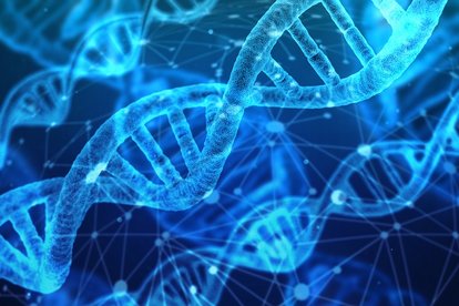 https://de.serlo.org/biologie/70762/dna-was-ist-das 