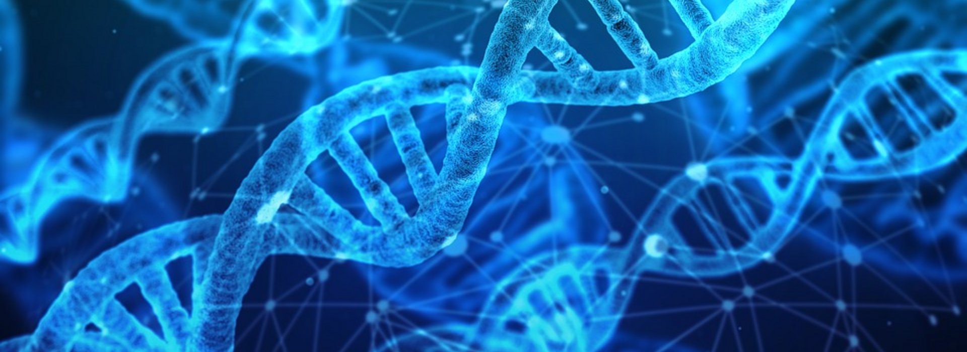 https://de.serlo.org/biologie/70762/dna-was-ist-das 
